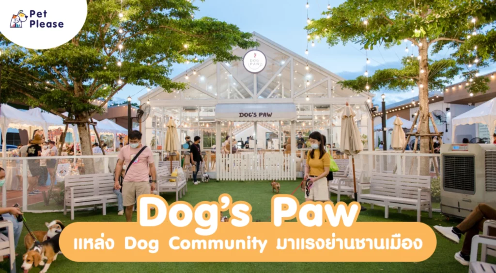 Dog’s Paw ด็อกส์พอ