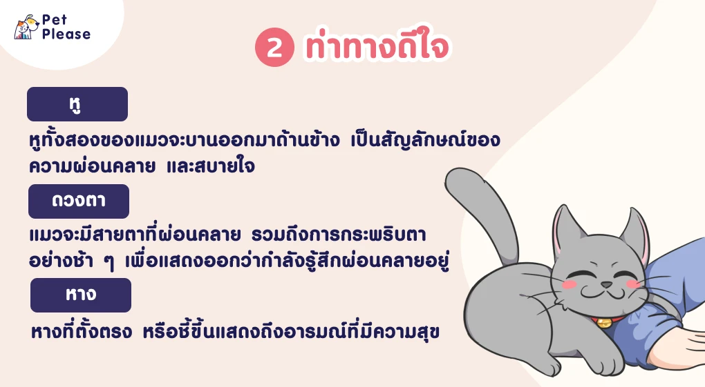 ภาษากายแมว แมวเครียด แมวเบื่อ แมวดีใจ