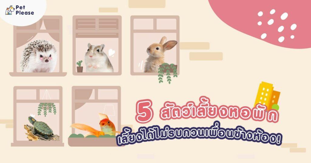 สัตว์เลี้ยงหอพัก สัตว์ตัวเล็ก เม่นแคระ ปลา แฮมสเตอร์ แกสบี้ เต่าญี่ปุ่น กระต่าย