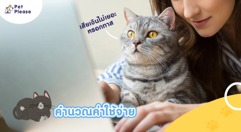 ทาสแมวมือใหม่ เลี้ยงแมว แมวตัวแรก ฝึกแมว แมวกินอะไร