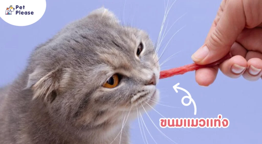 ขนมแมว แมวเลีย อาหารแมว