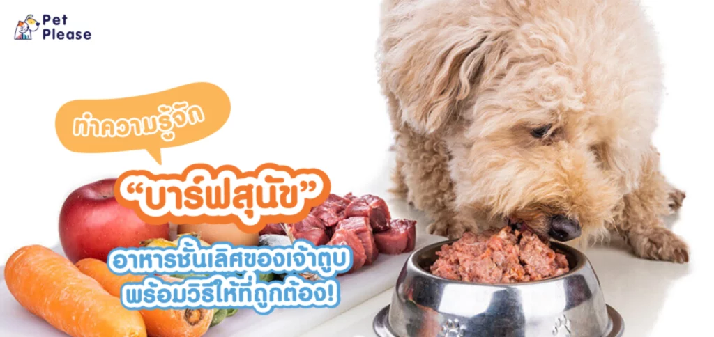 barf for dog บาร์ฟสำหรับสุนัข อาหารบาร์ฟ