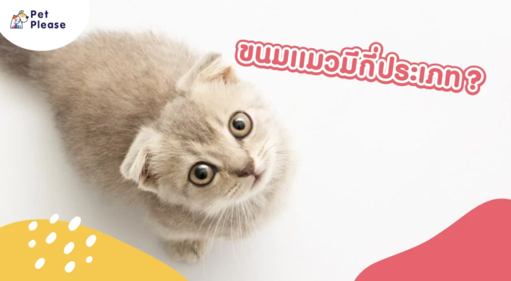 ขนมแมว แมวเลีย อาหารแมว