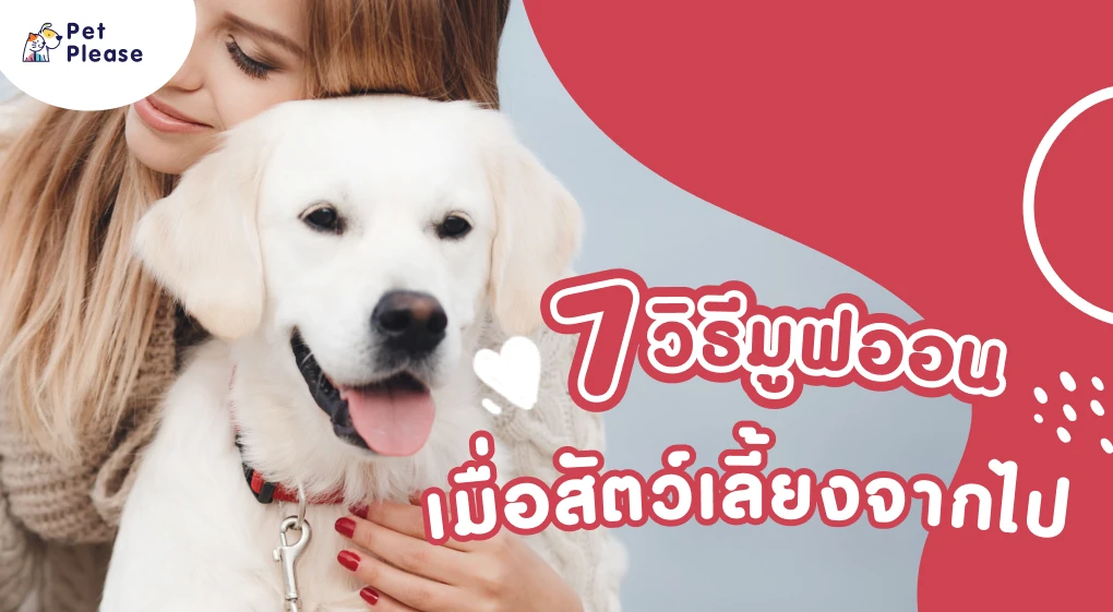 coping death your pet มูฟออน หมาตาย แมวตาย