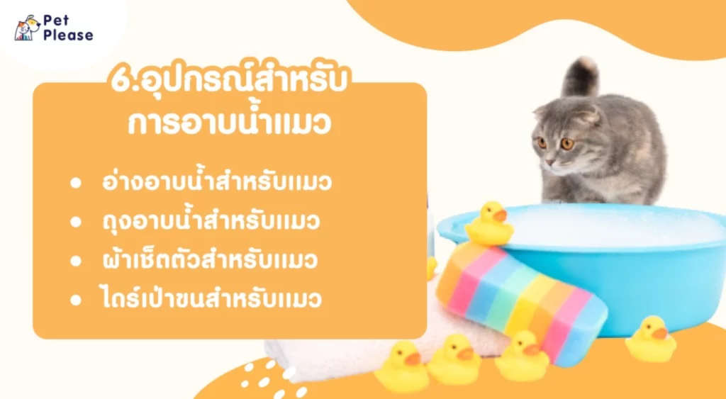 อาบน้ำแมว bathing cat