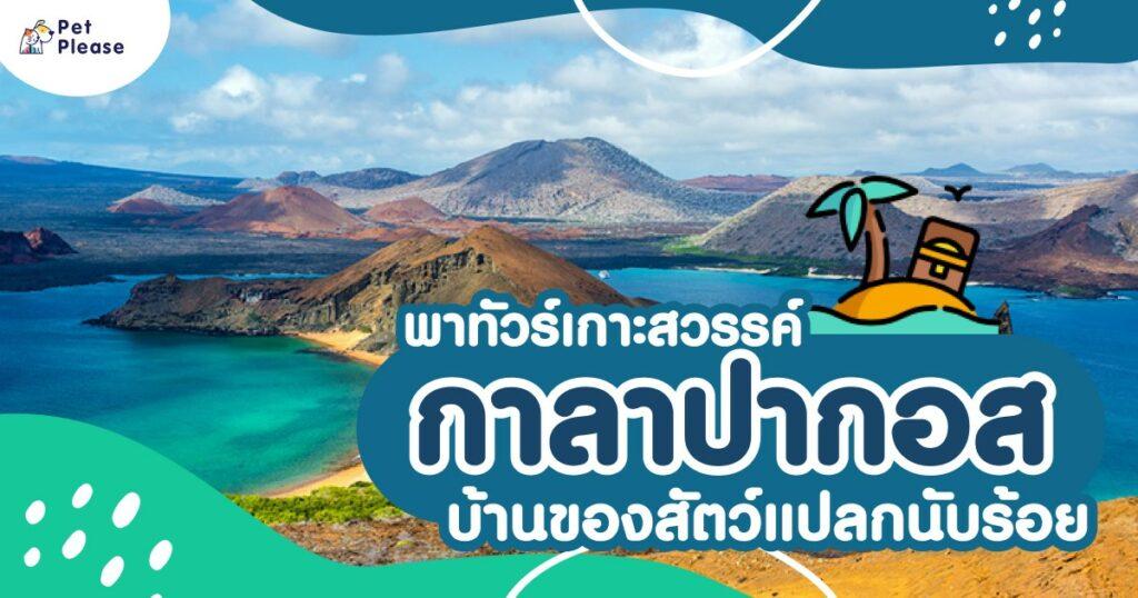 กาลาปากอส
เกาะกาลาปากอส
เกาะสัตว์แปลก
Galapagos
exotic