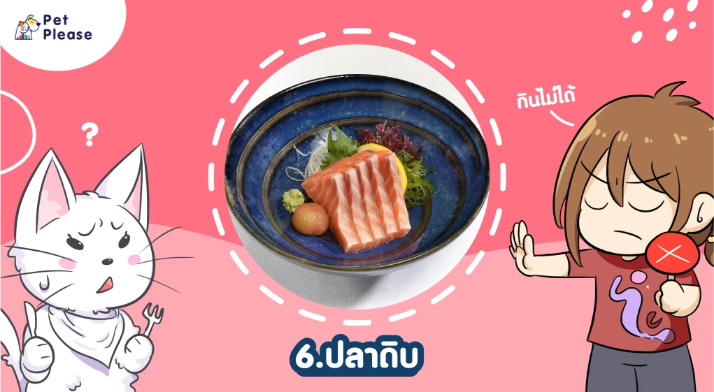 แมวห้ามกิน อาหาร อันตราย แมว