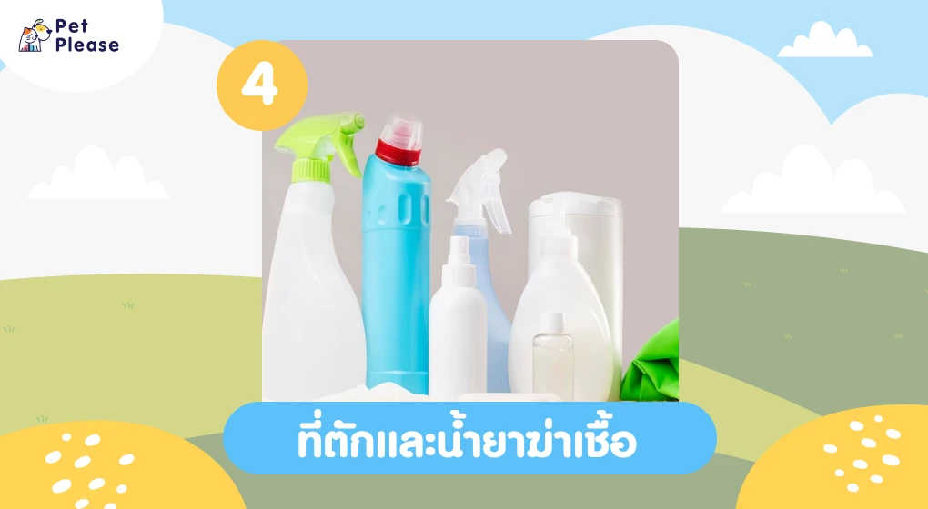 ห้องน้ำกระต่าย ห้องน้ำ ห้องน้ำสำหรับกระต่าย กระต่าย