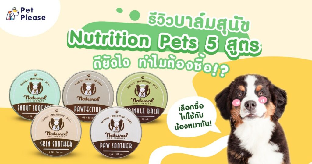บาล์ม
nutritional pets
