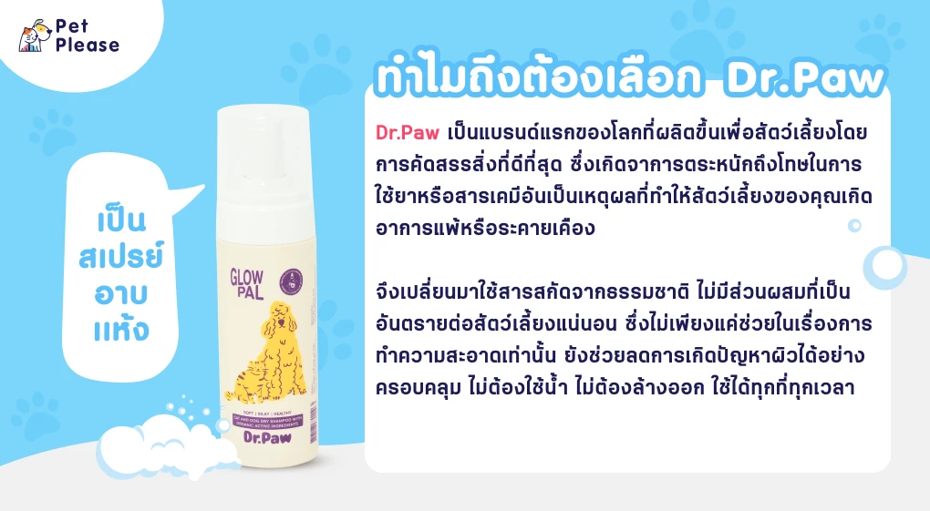 dry shampoo สเปรย์ dr.paw