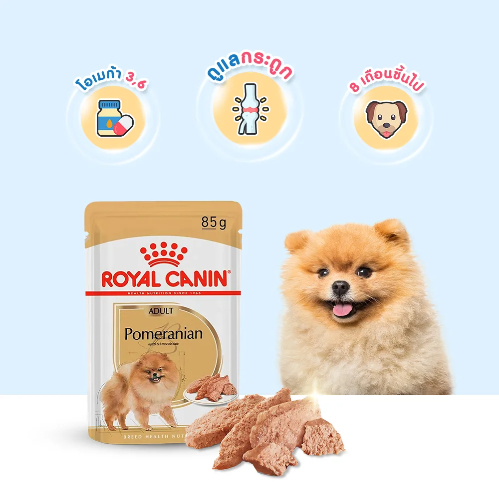 อาหารเปียก Royal Canin สำหรับสุนัขโต พันธุ์ปอมเมอเรเนียน ขนาด 85 G -  Petplease.Co