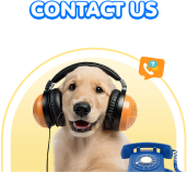 Contact-Us-main-m