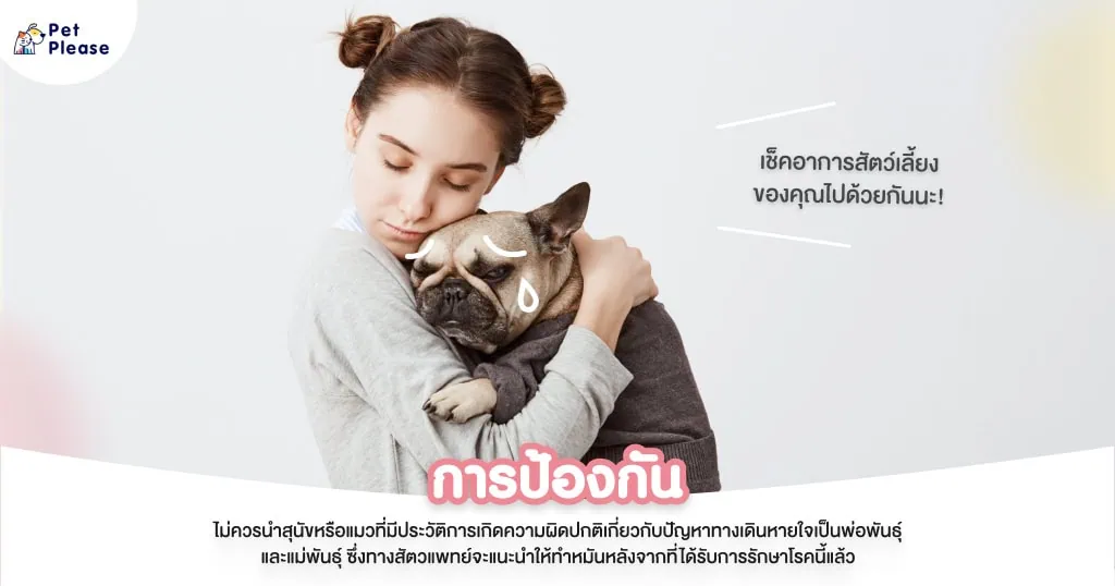 เพดานอ่อน
